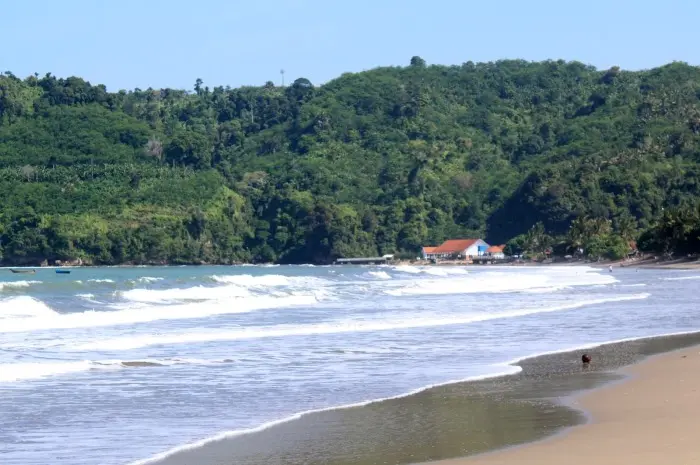 Menjelajahi Pantai Sine Tulungagung: Pesona Alam, Budaya, dan Keunikan yang Memikat